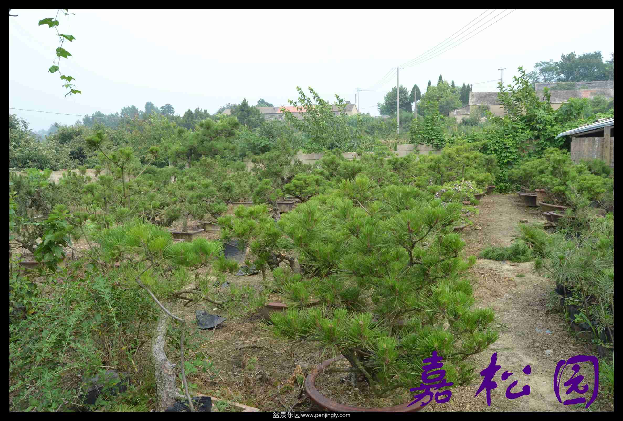 ���� 013.JPG