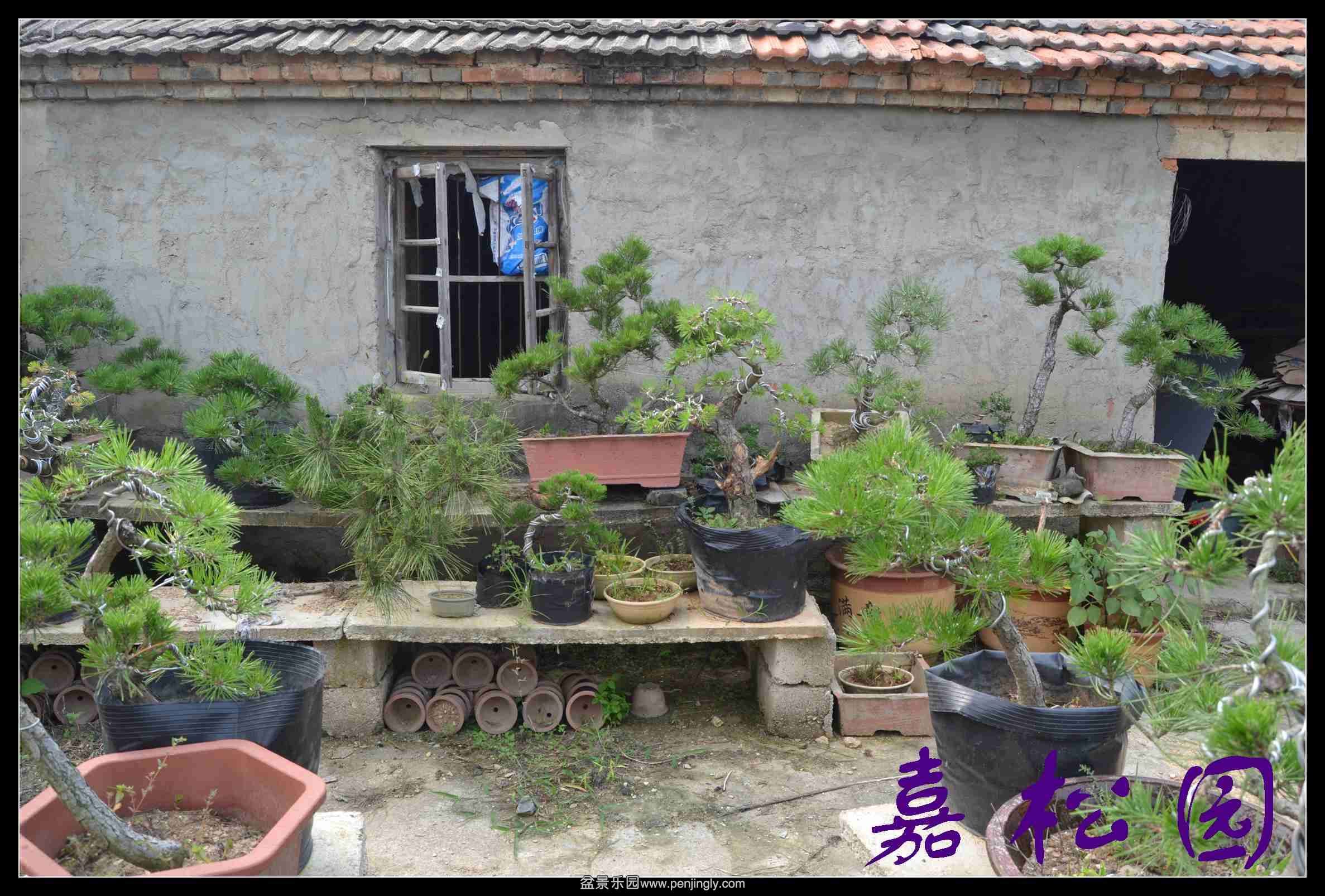 ���� 014.JPG