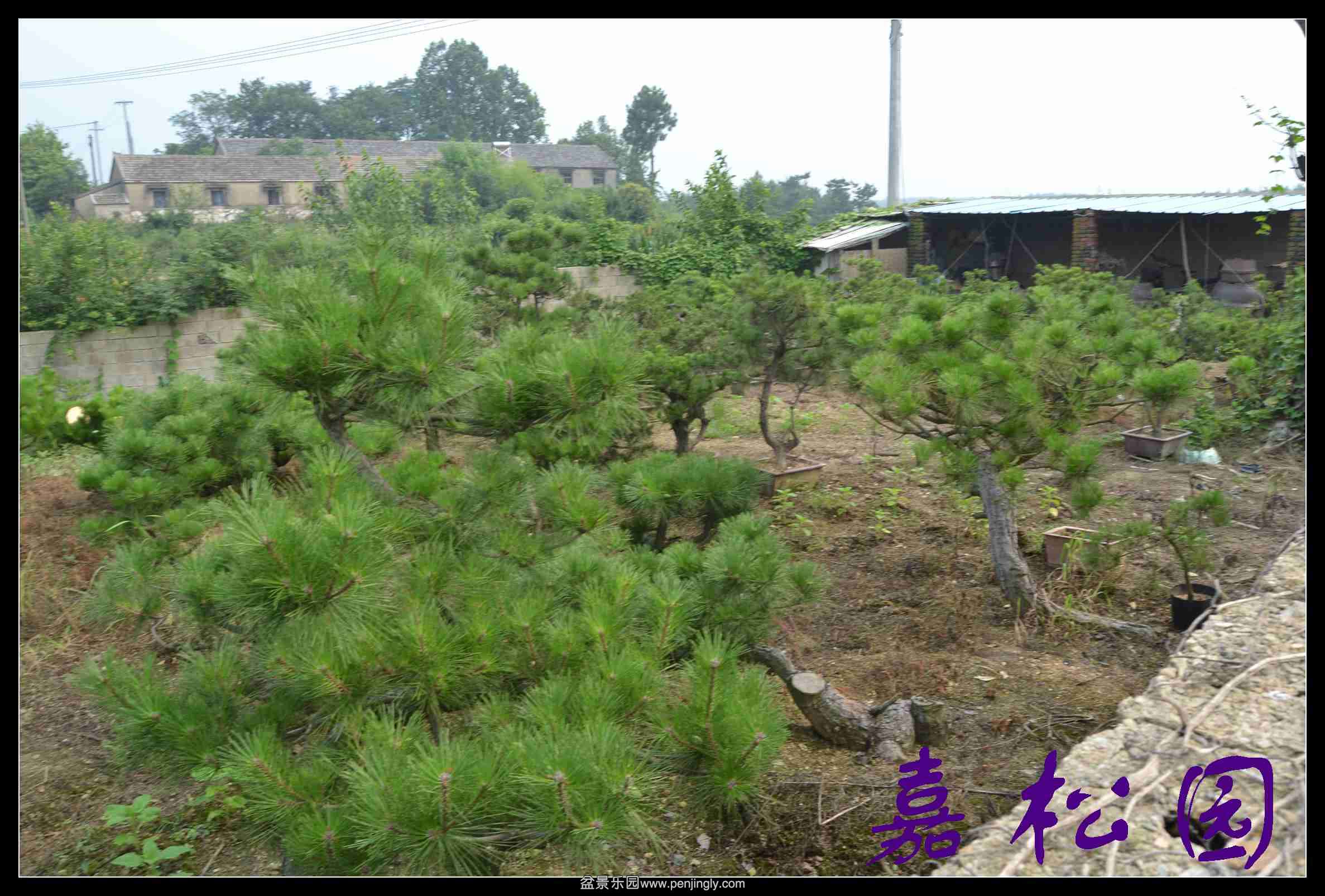 ���� 016.JPG