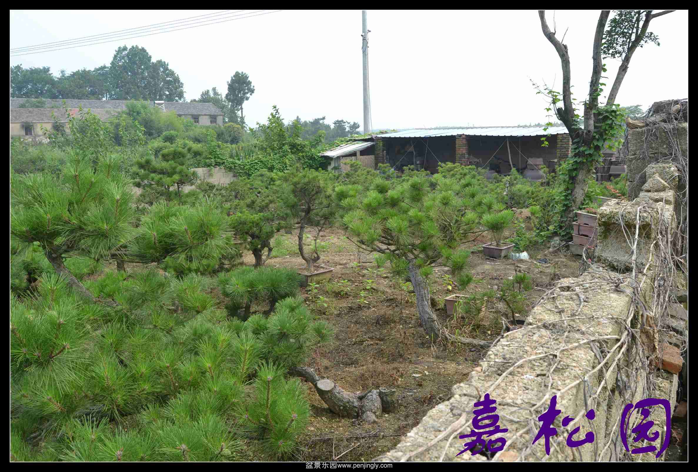 ���� 017.JPG