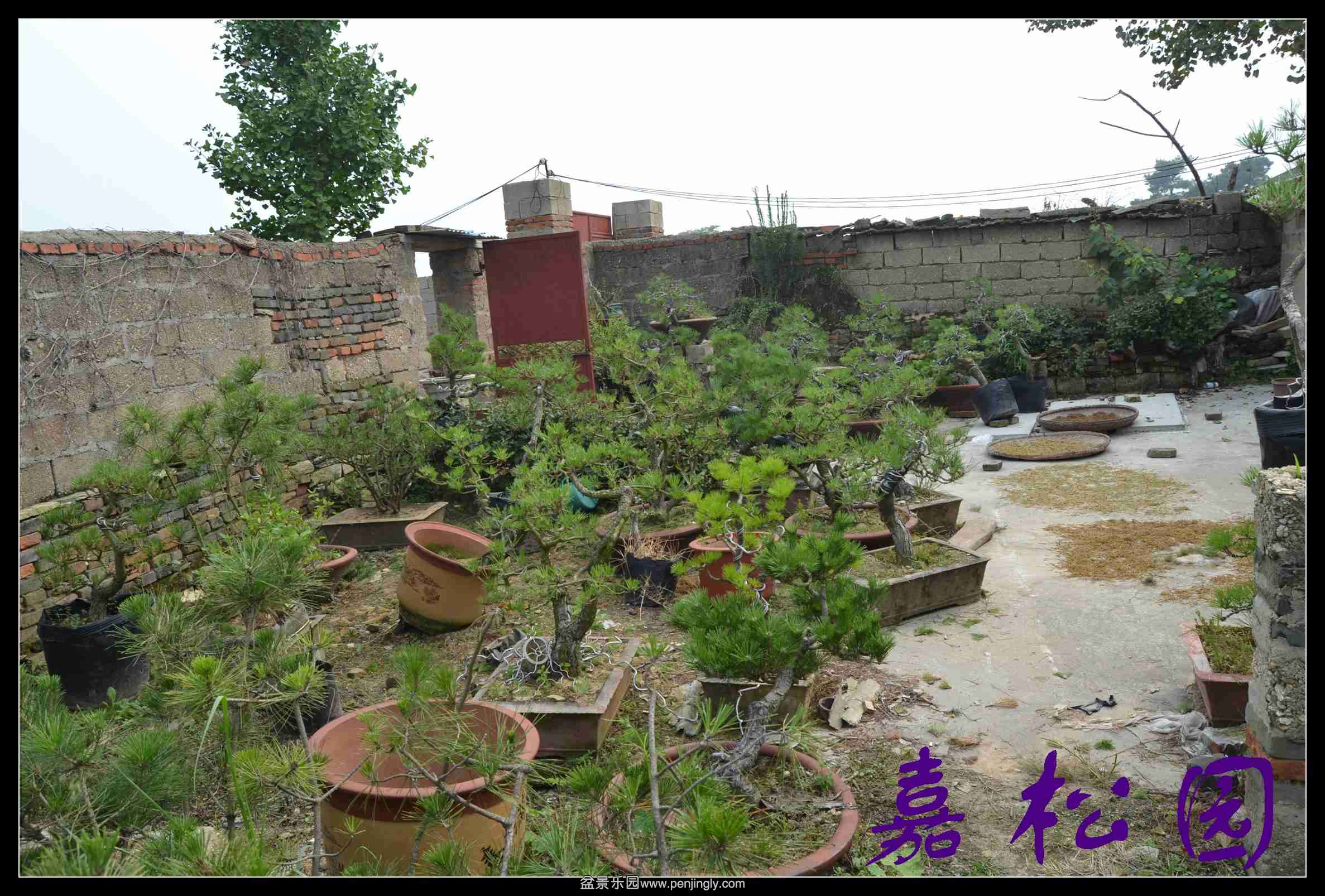 ���� 018.JPG