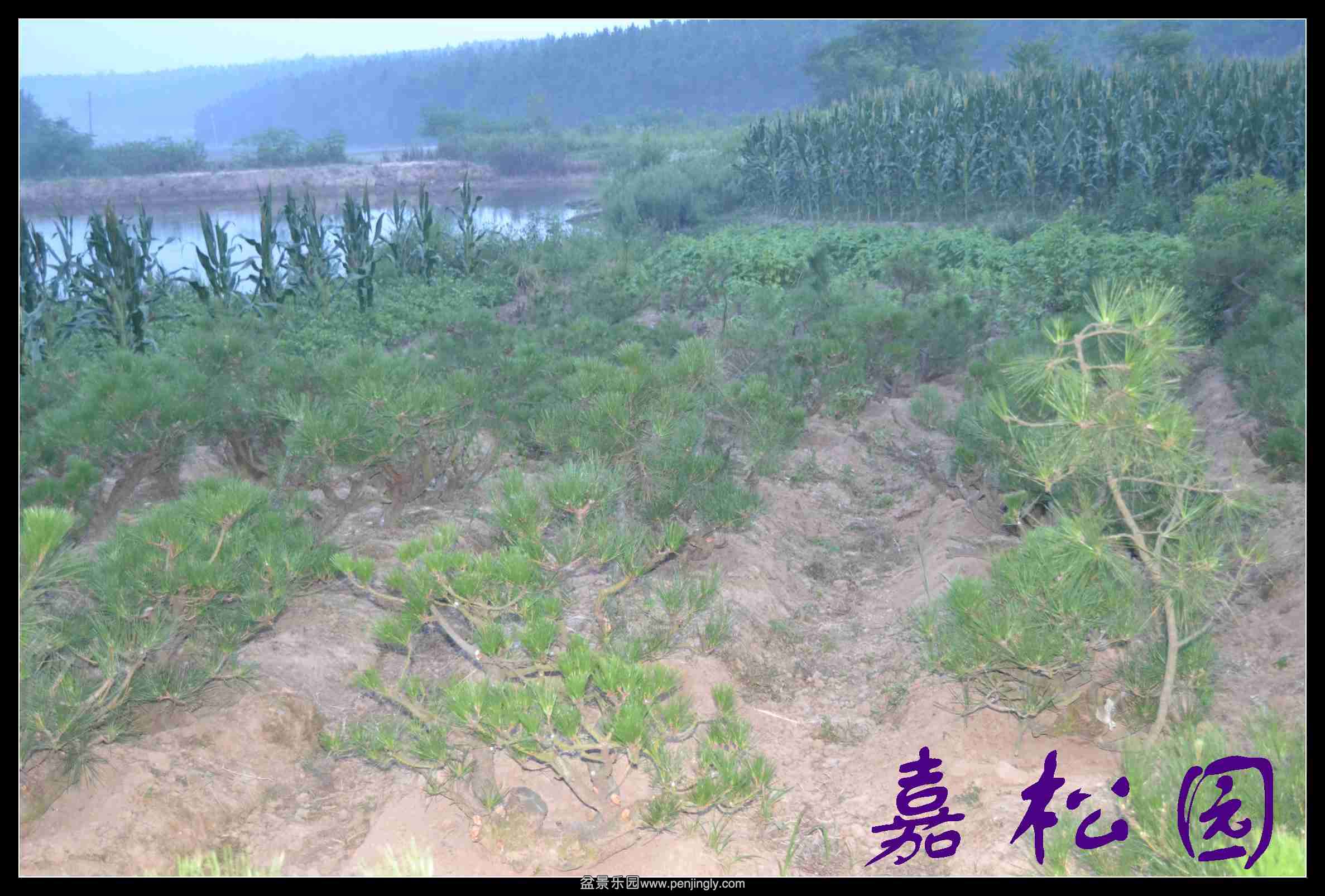 ���� 022.JPG