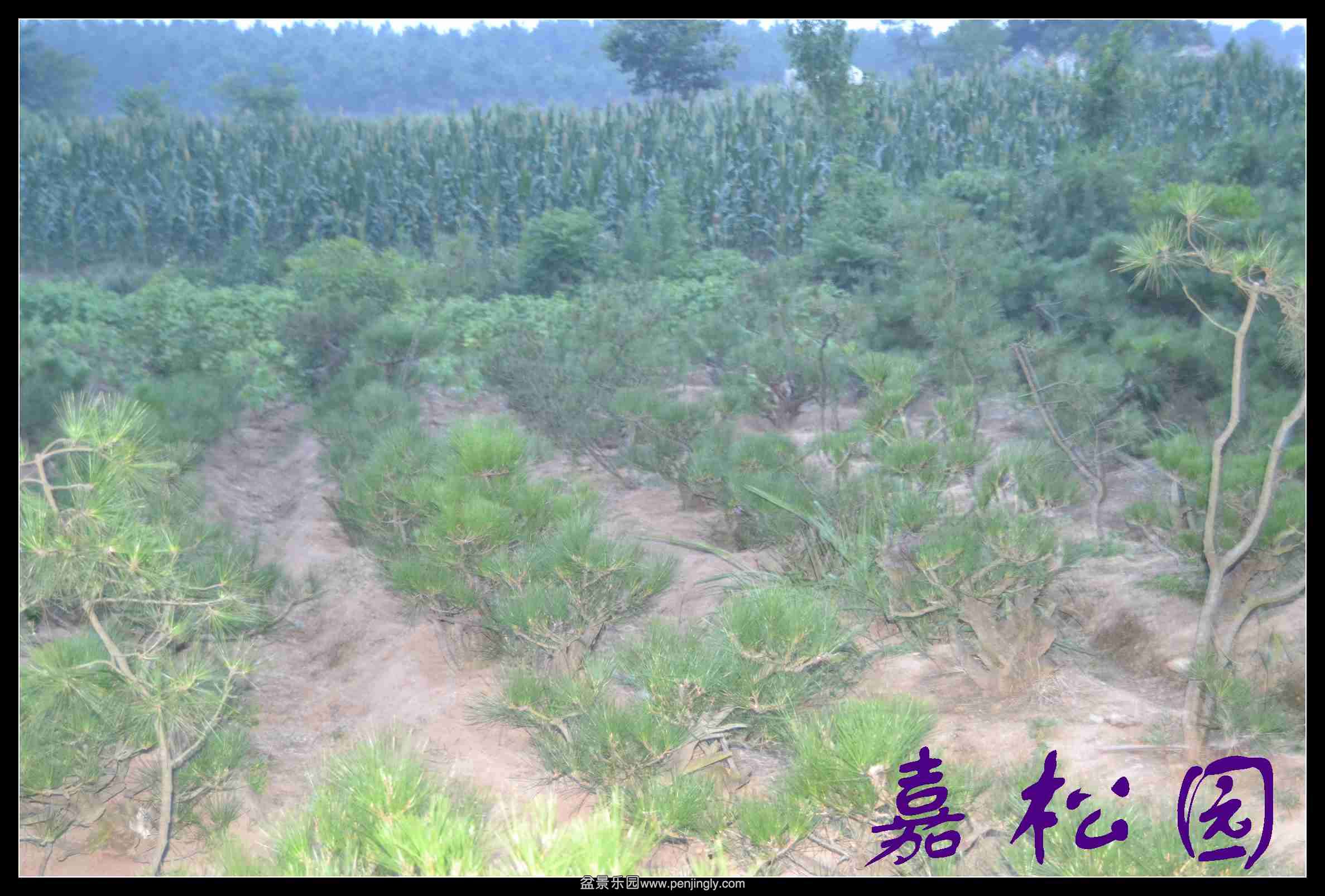 ���� 023.JPG