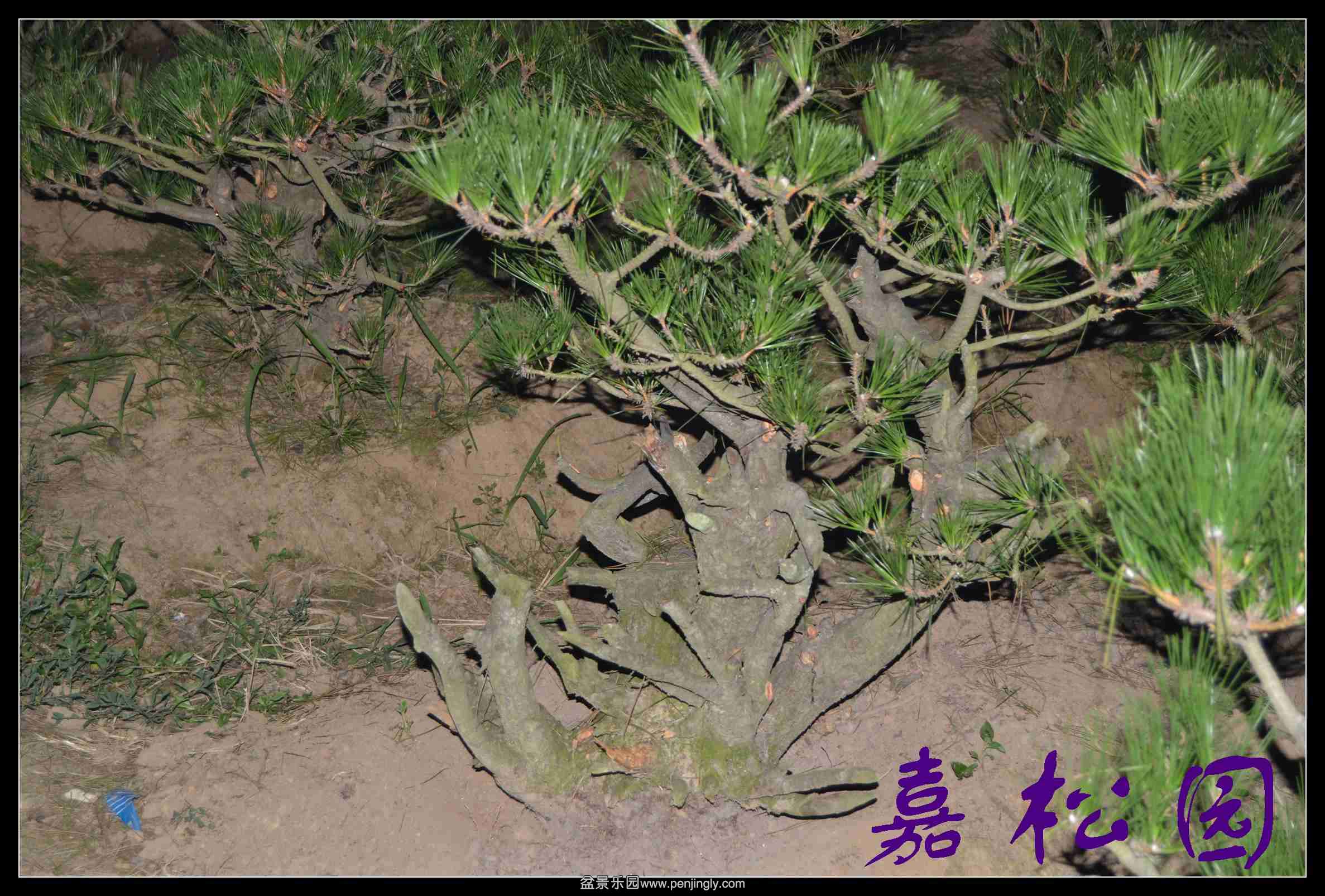 ���� 025.JPG