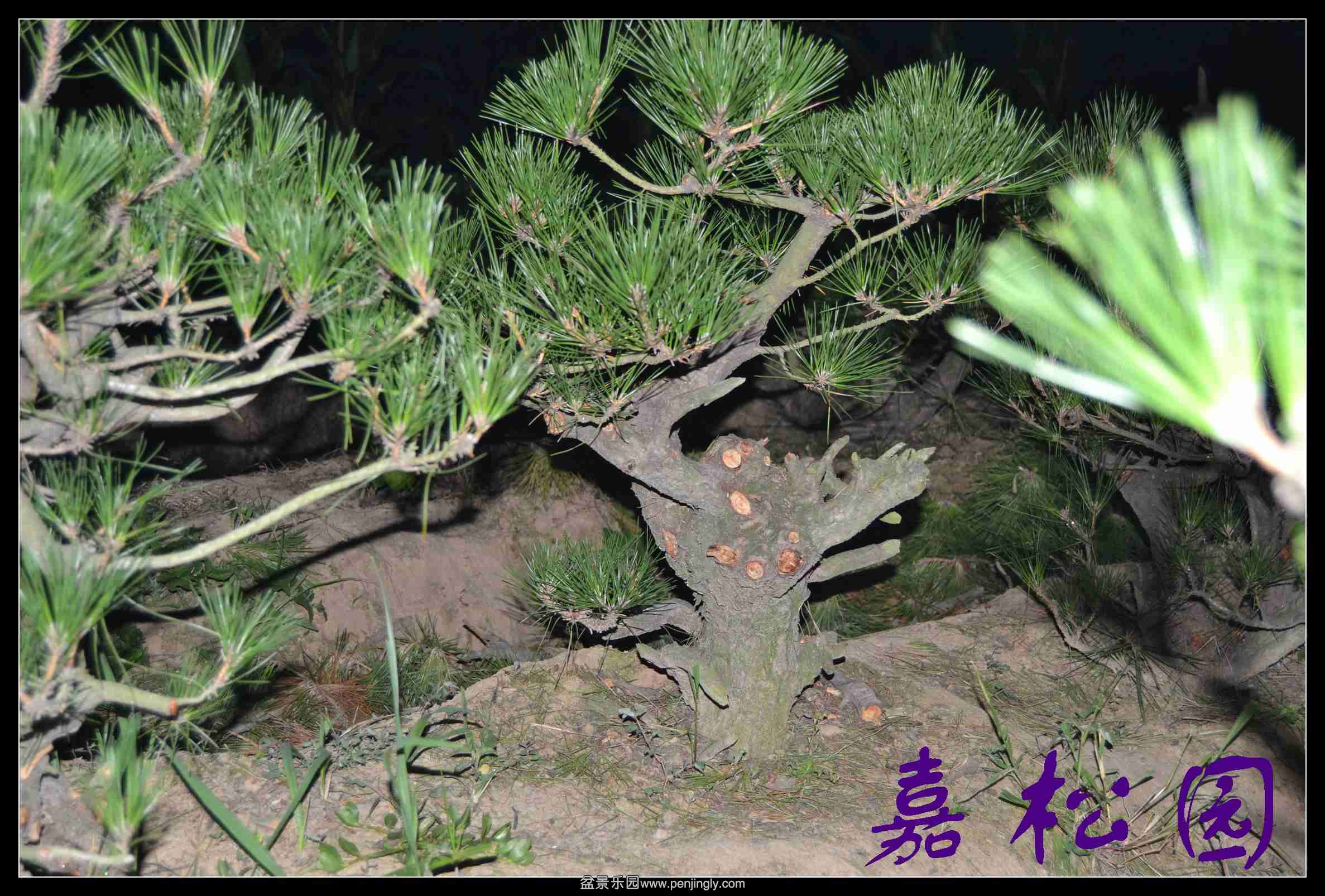 ���� 026.JPG