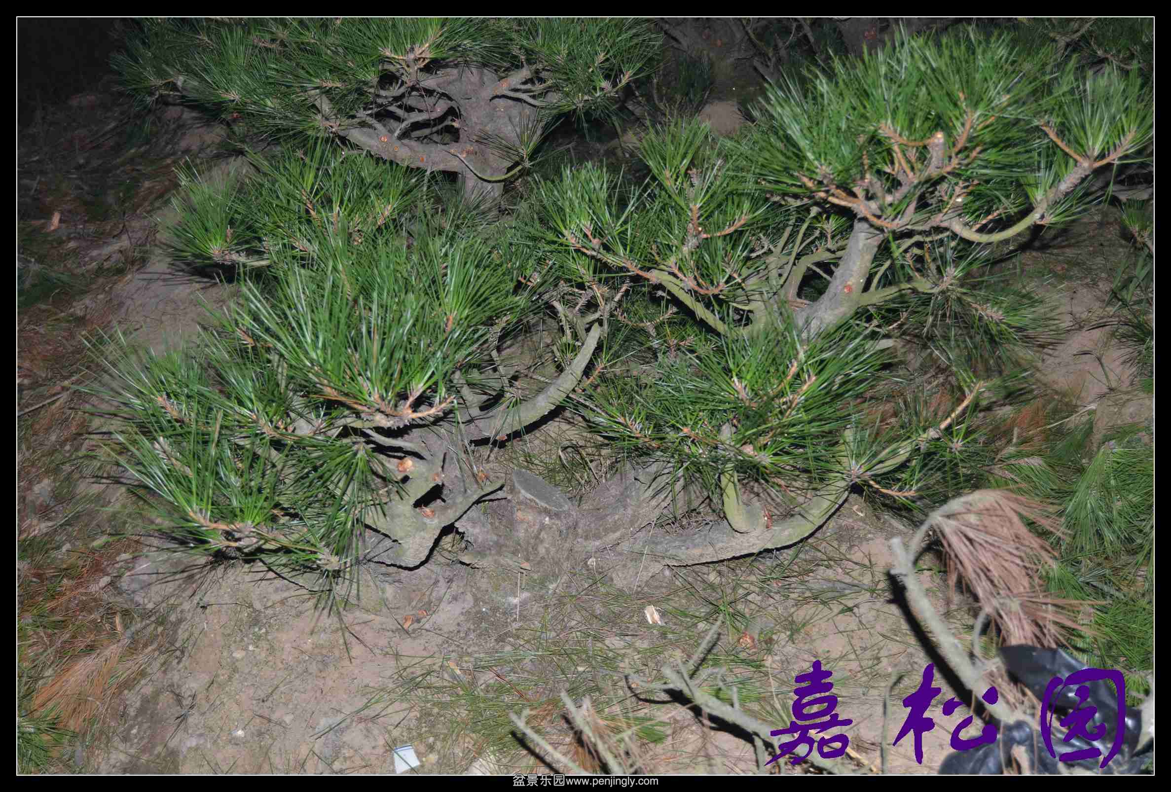 ���� 028.JPG