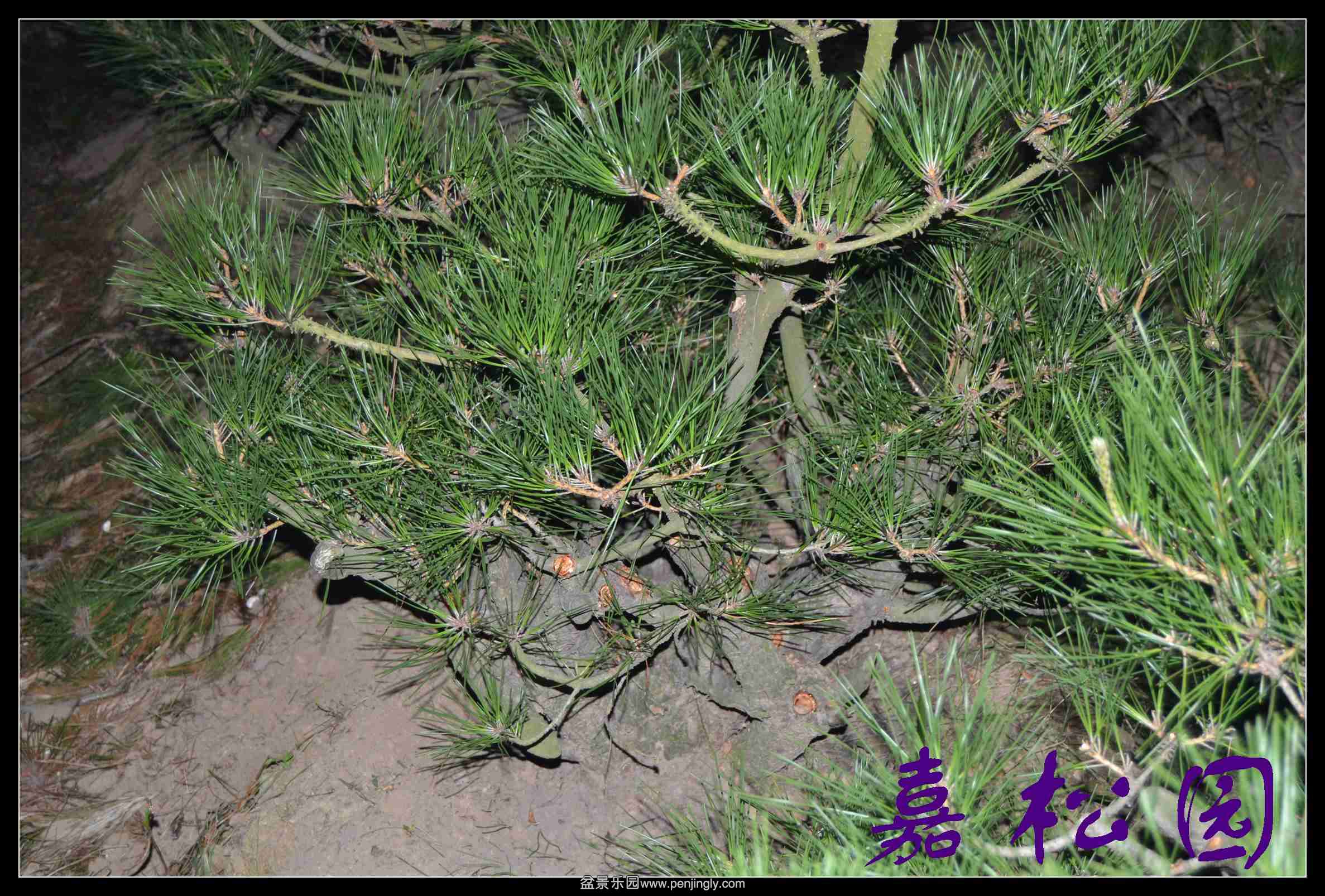 ���� 029.JPG