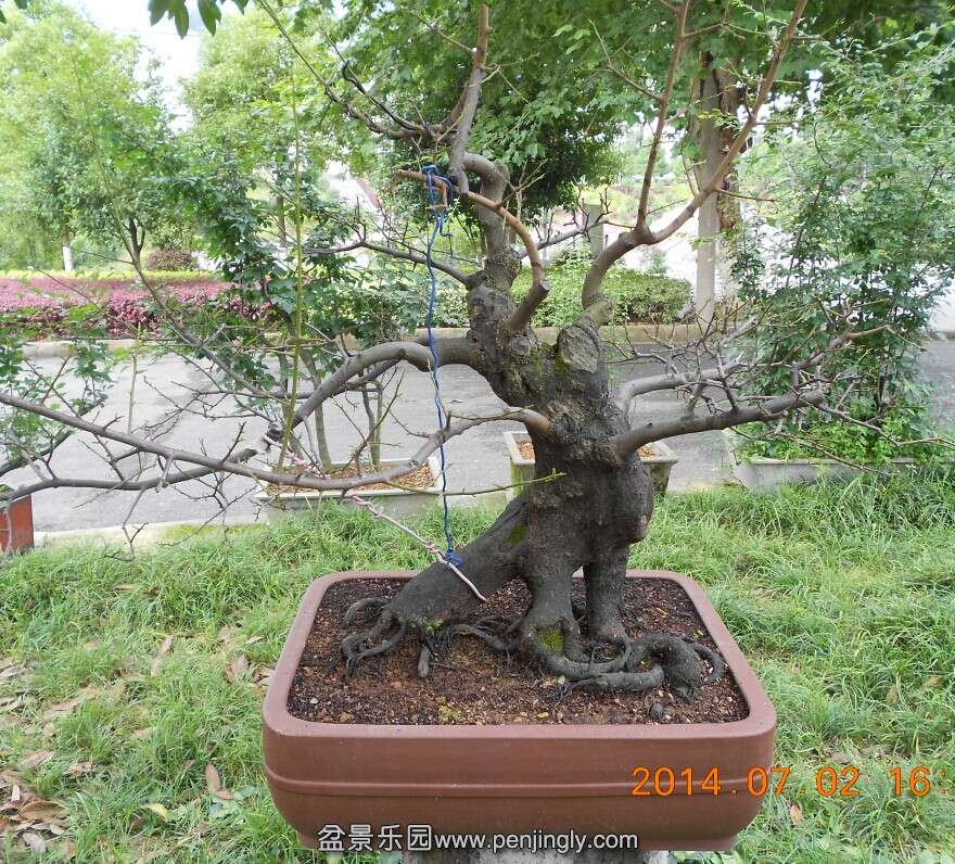 44ĸ׮[2].jpg