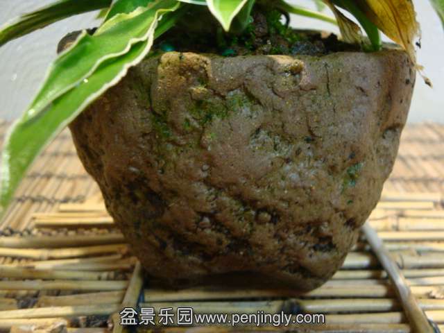 DSC08590.JPG