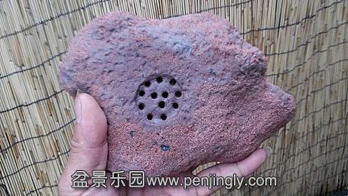 20140623_174601_.jpg