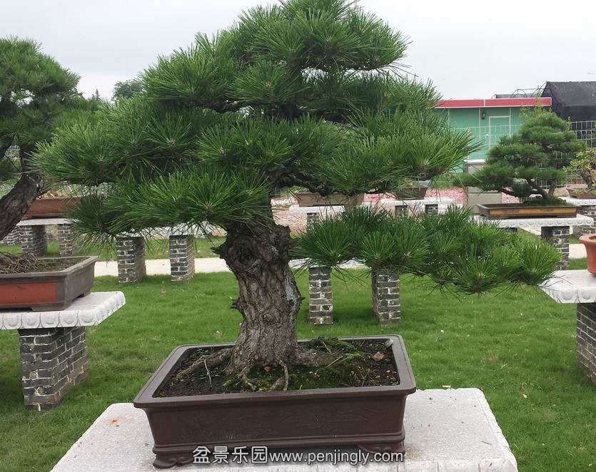 20140707_115700.jpg