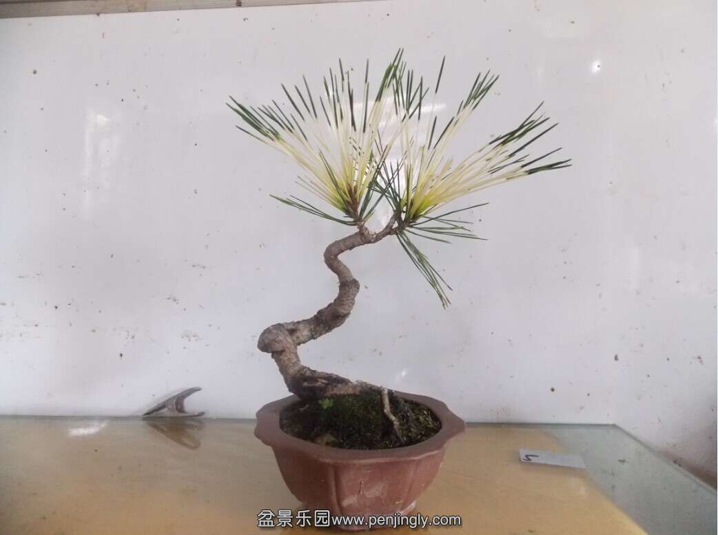 QQͼƬ20140714203320.jpg