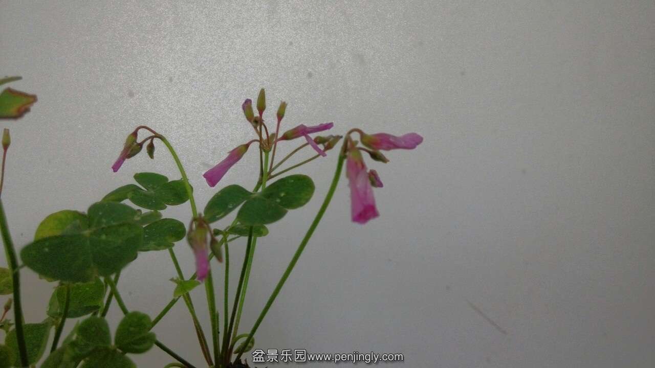 IMG_20140715_090714-1.jpg