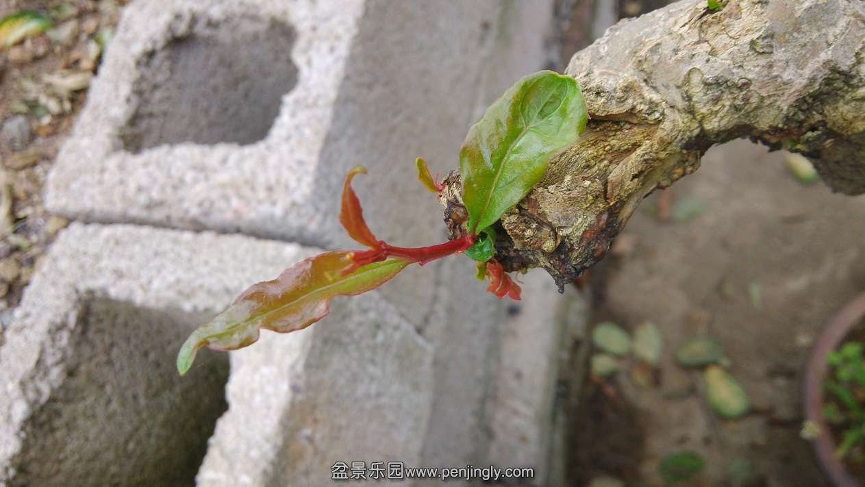 IMG_20140714_100146.jpg