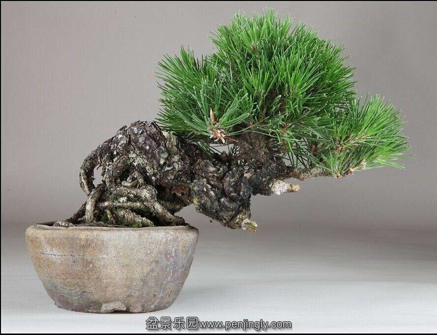 QQͼƬ20140716092640.jpg