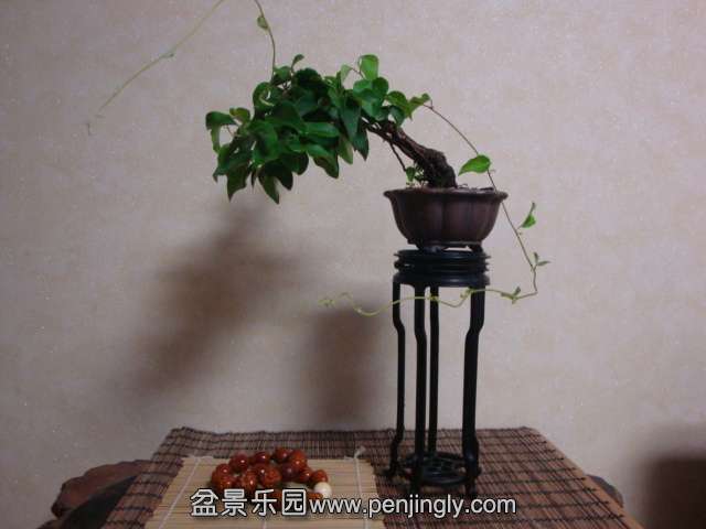 DSC08581.JPG