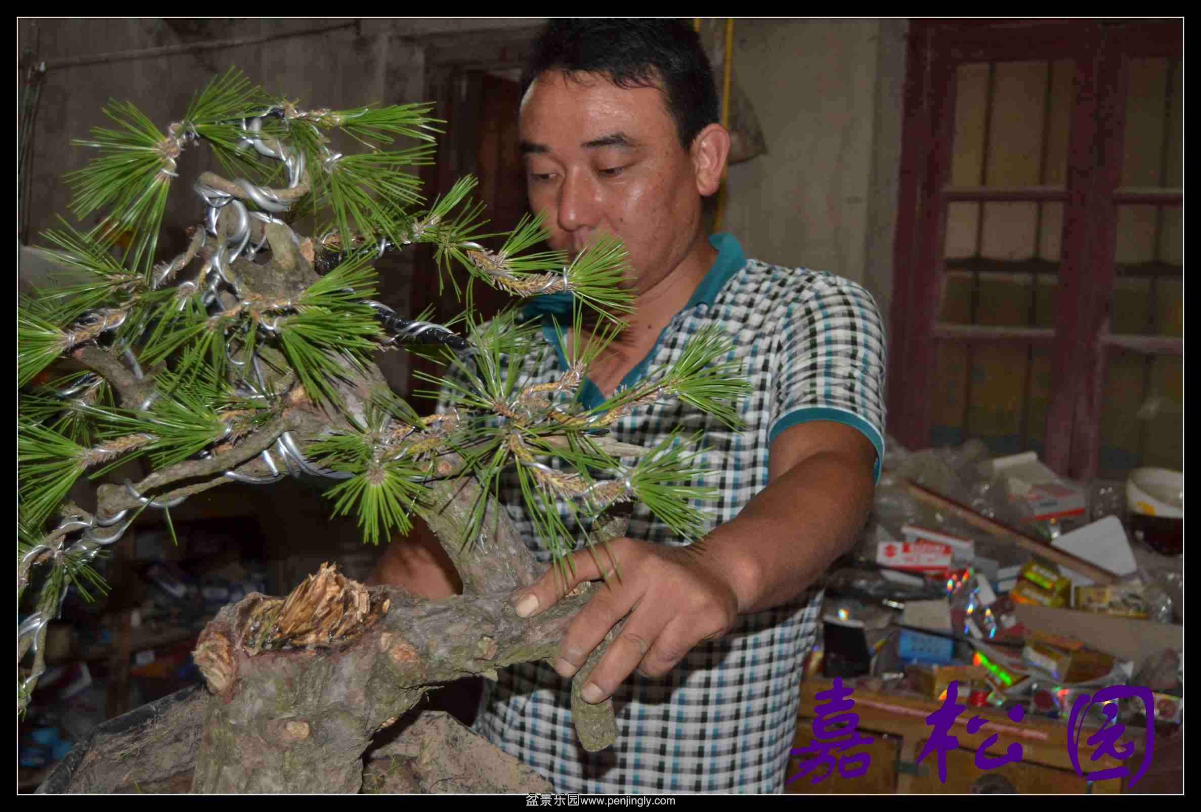 ���� 012.JPG