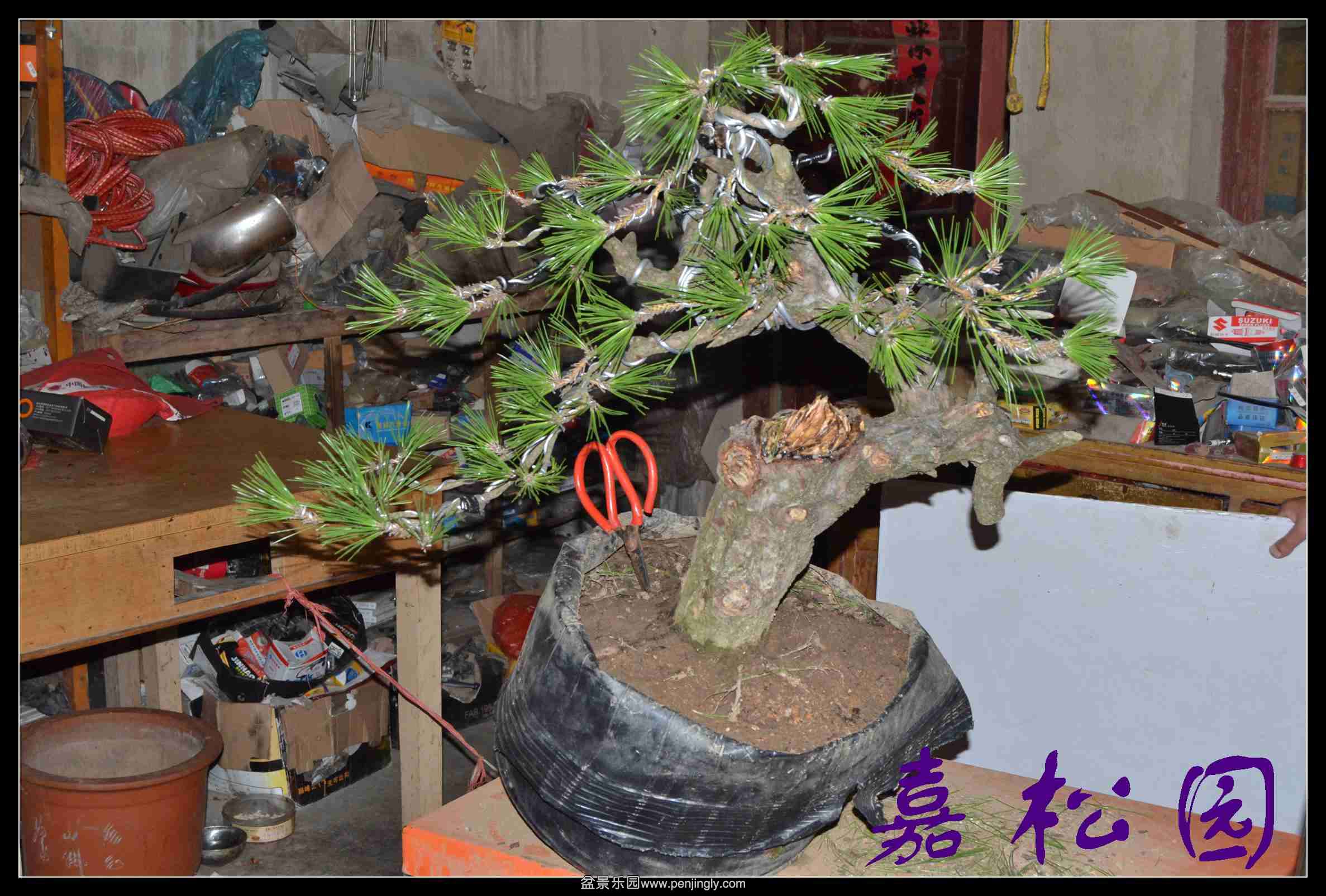 ���� 020.JPG