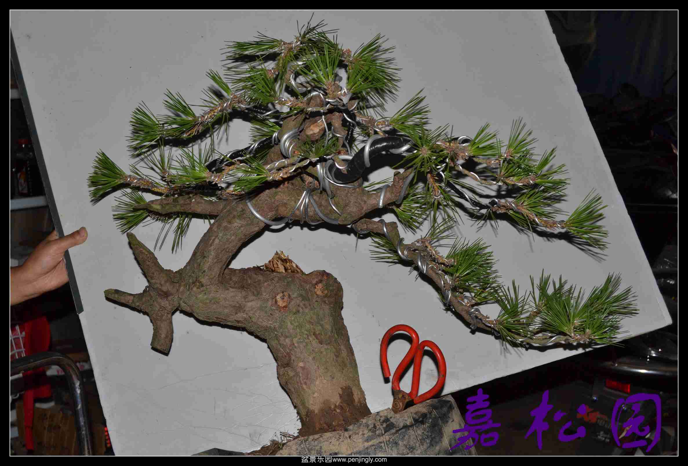 ���� 023.JPG