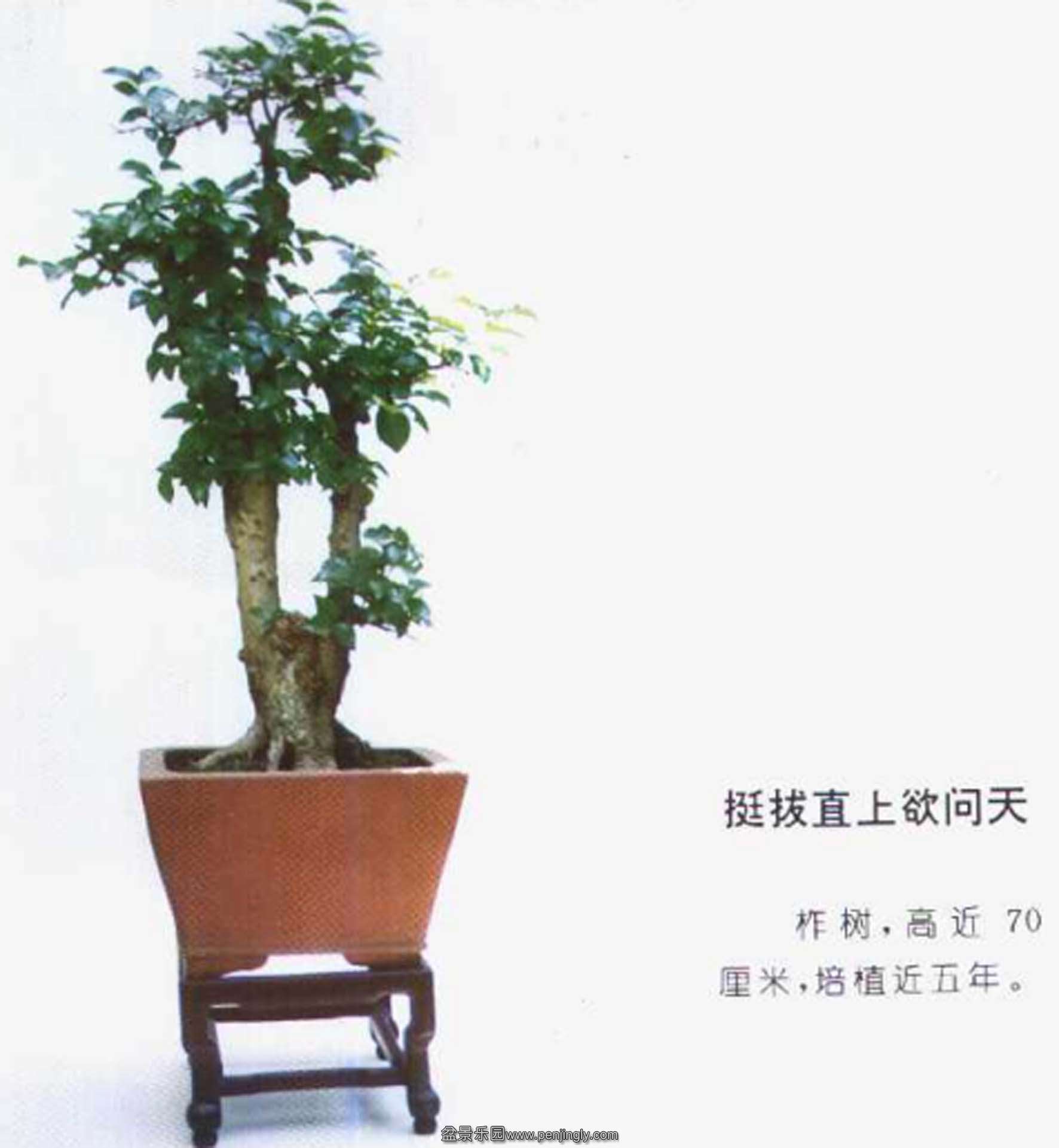39һ-.jpg