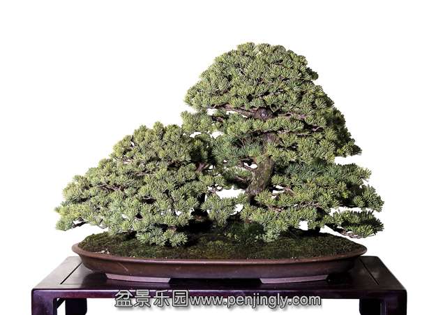 image_1066_kokufu-ten-jp.jpg