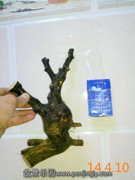 Camera_20140410_211907_С_.jpg