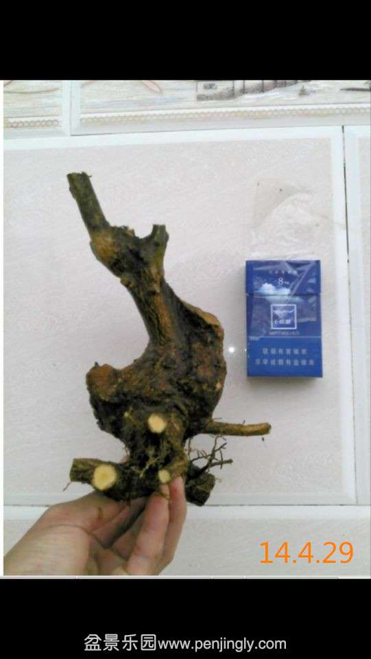 QQͼƬ20140429194918_.jpg