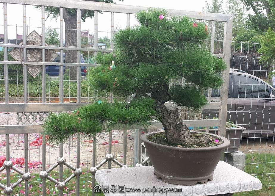 20140707_115502.jpg