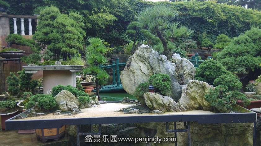 IMG_20140720_091016.jpg