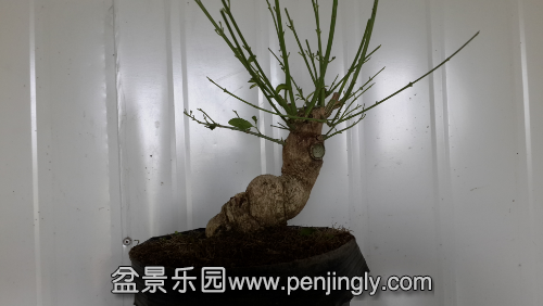20140722_104658.jpg