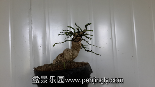 20140722_111342.jpg