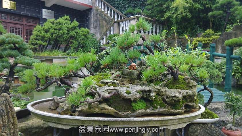 IMG_20140720_091040.jpg