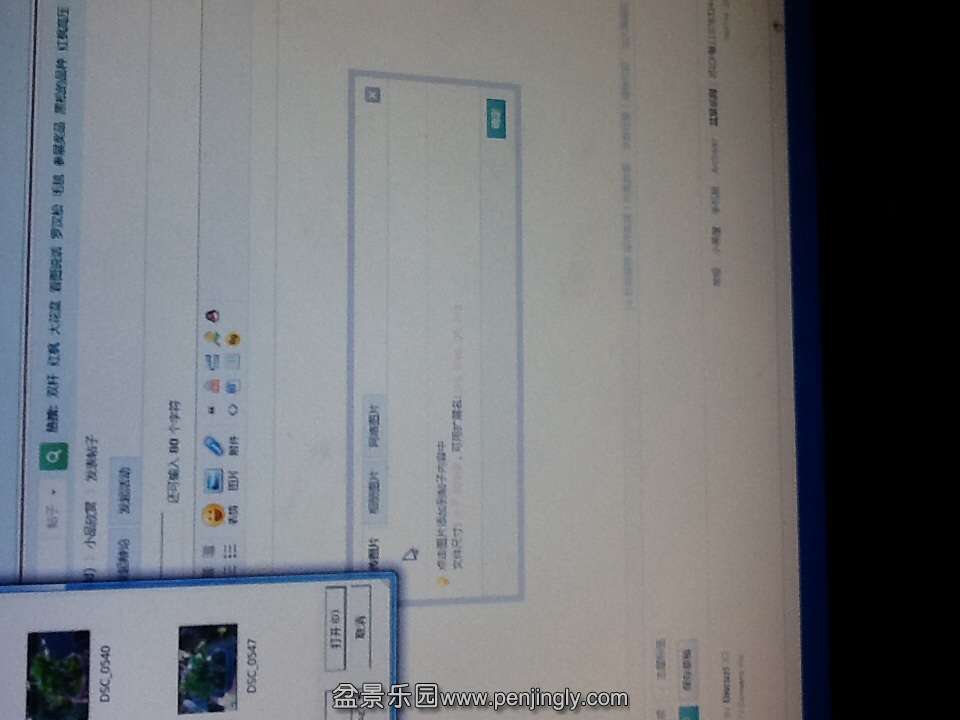 image.jpg