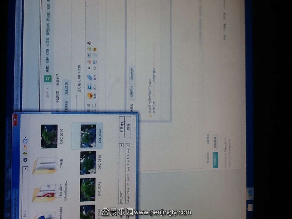 image.jpg