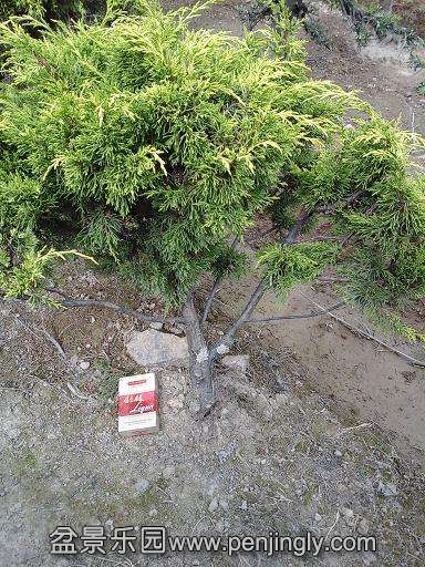 20140723_152823.jpg