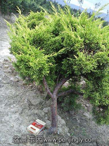 20140723_153507.jpg