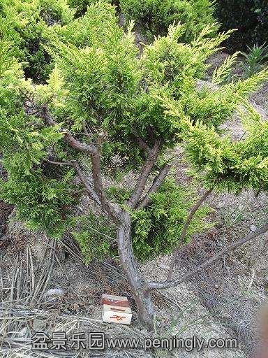 20140723_153759.jpg