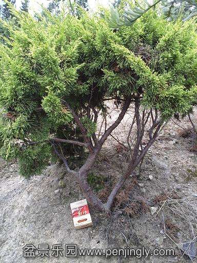 20140723_153746.jpg