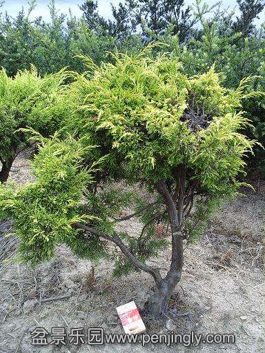 20140723_153920.jpg