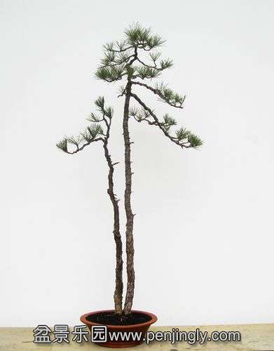 ��ɽ�� ���.jpg