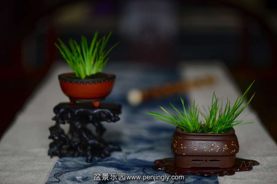 Ǯ-(2).JPG
