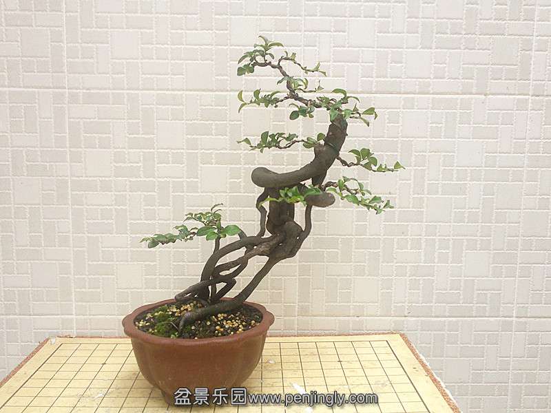 201407251379_.jpg