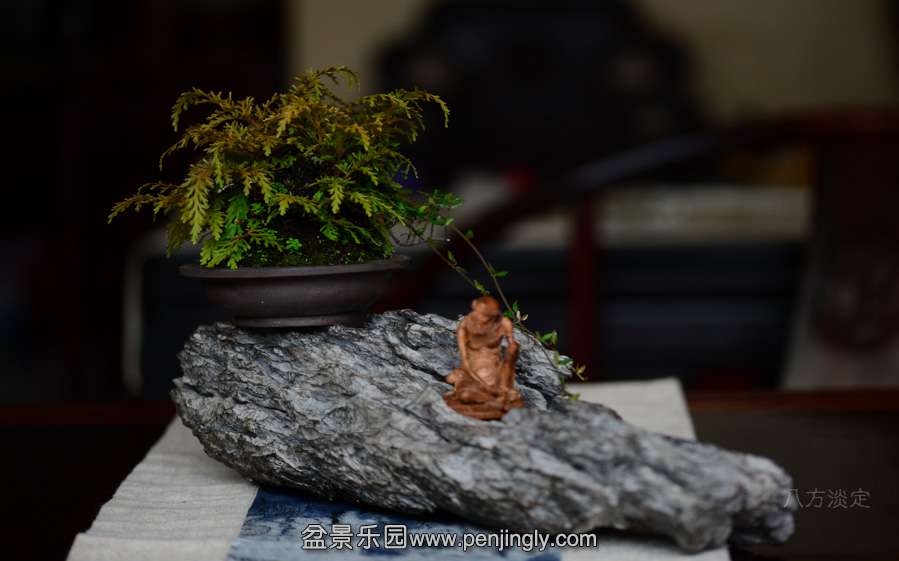DSC_6463.JPG