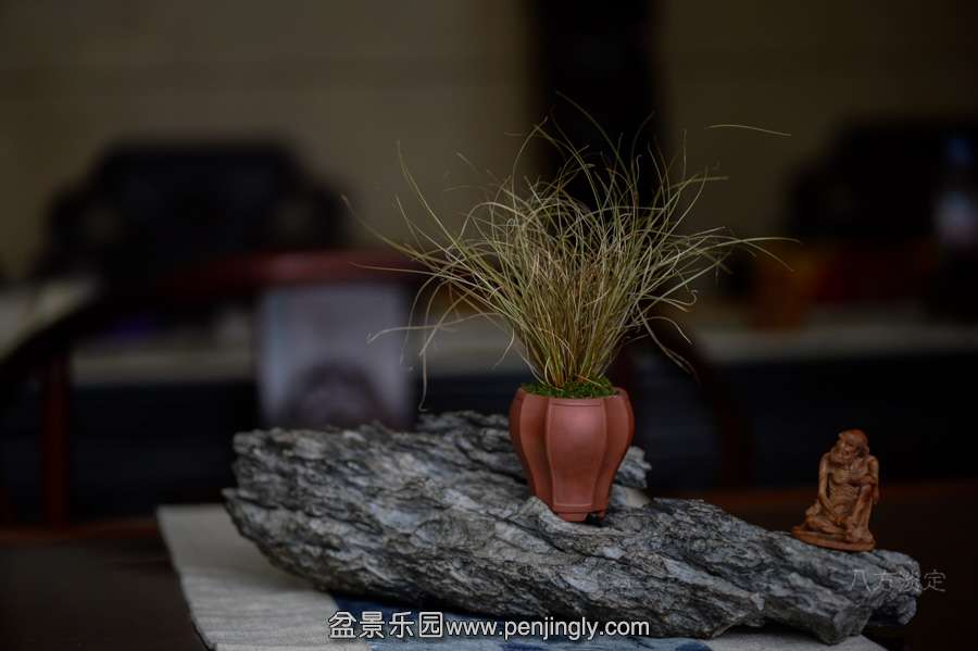 DSC_6453.JPG