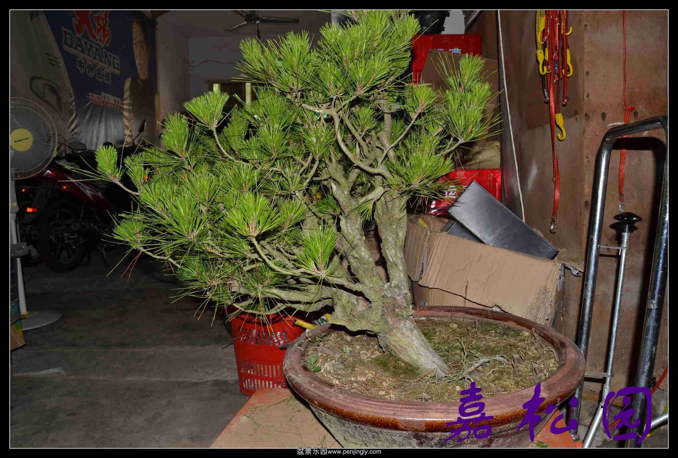 ���� 001.JPG