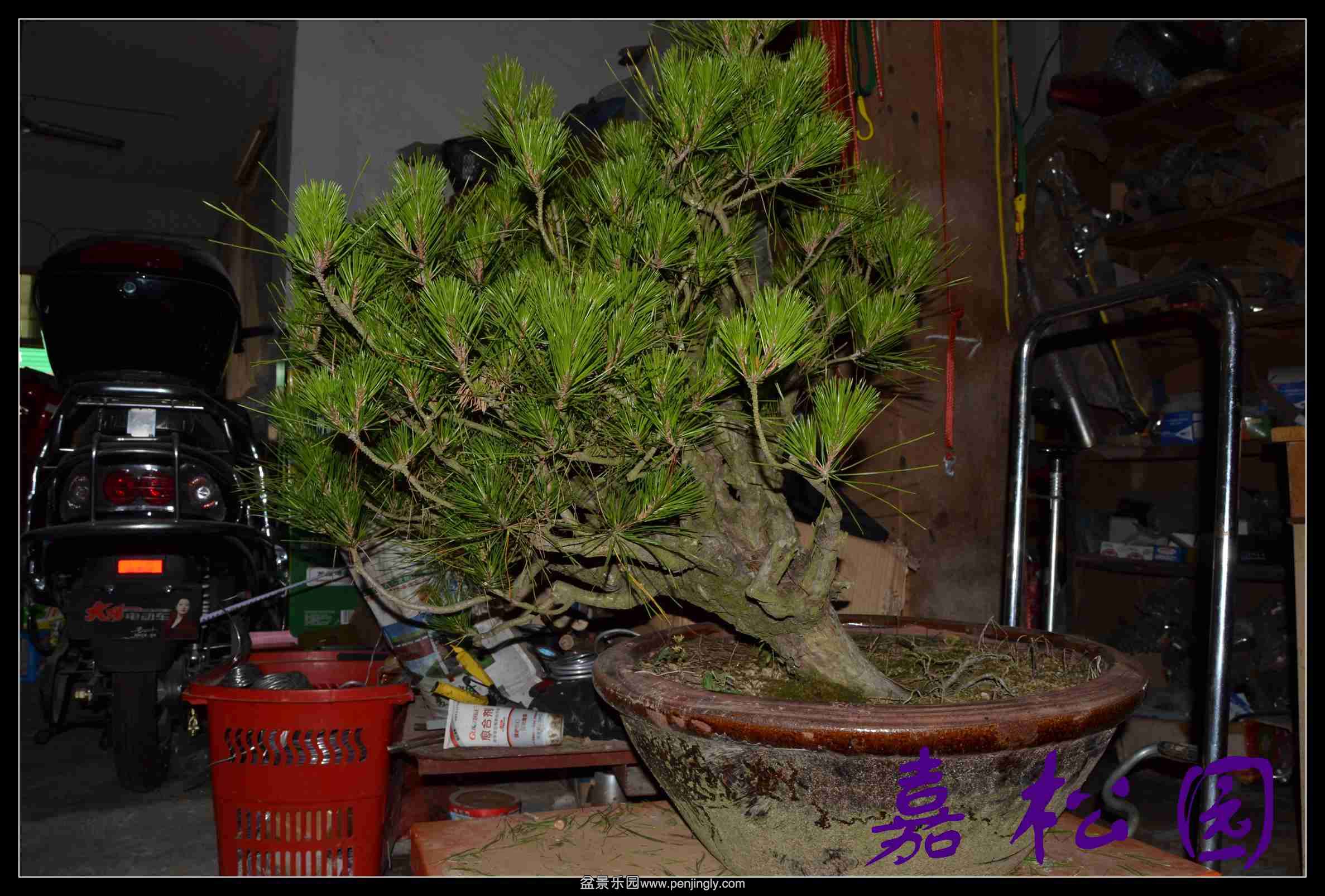 ���� 002.JPG