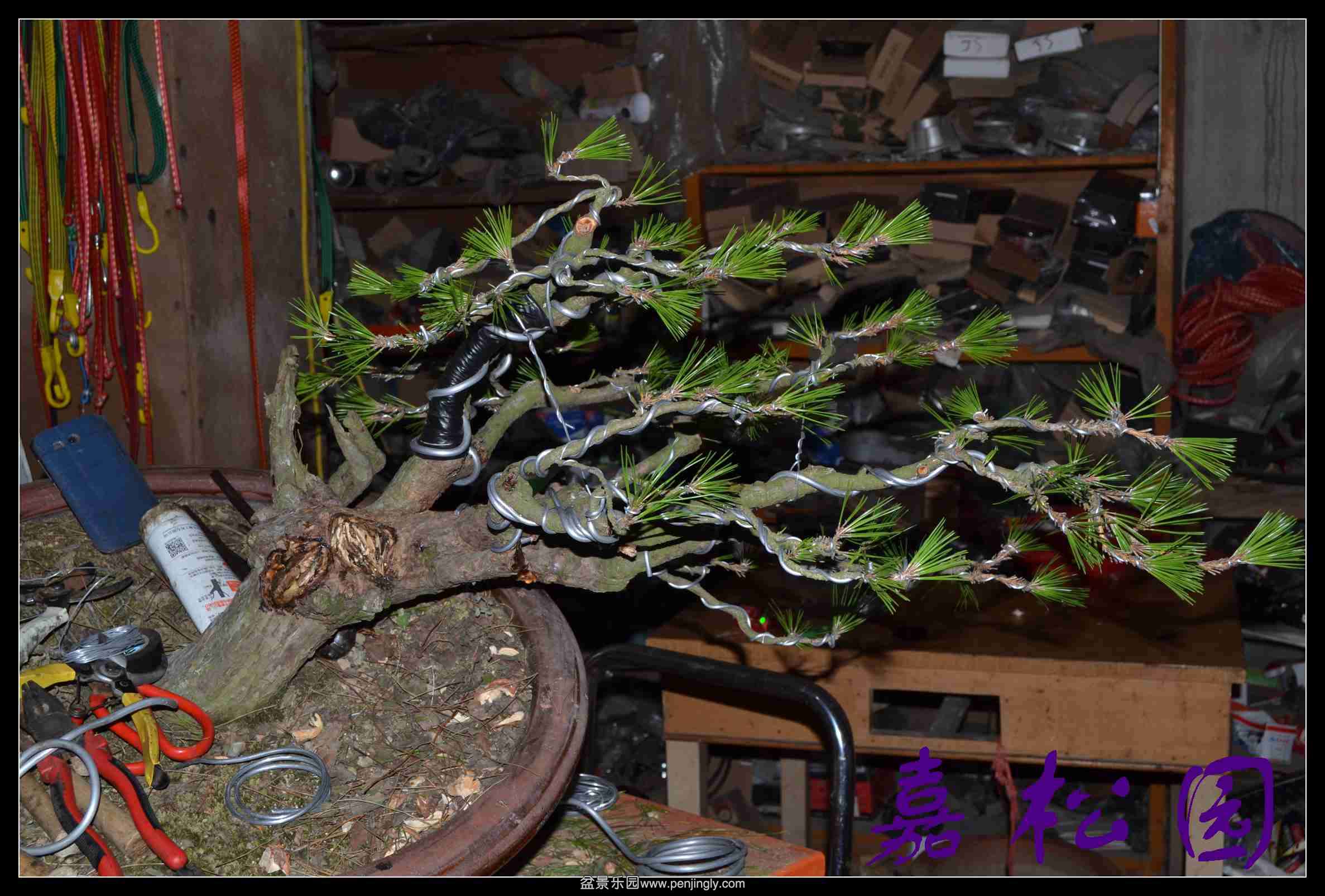 ���� 004.JPG