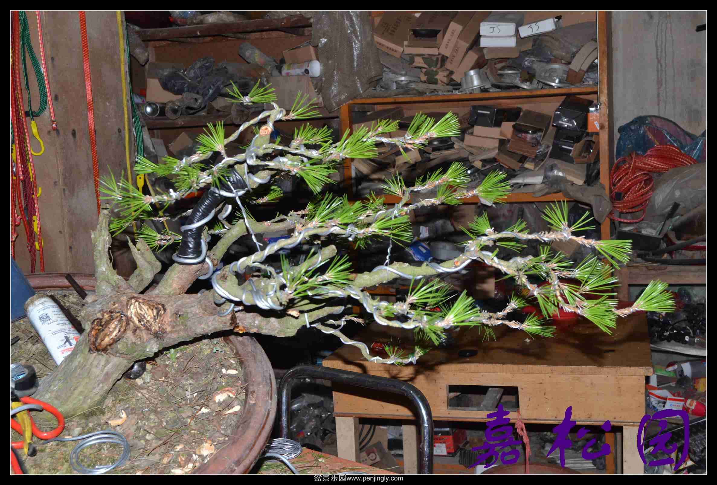 ���� 005.JPG