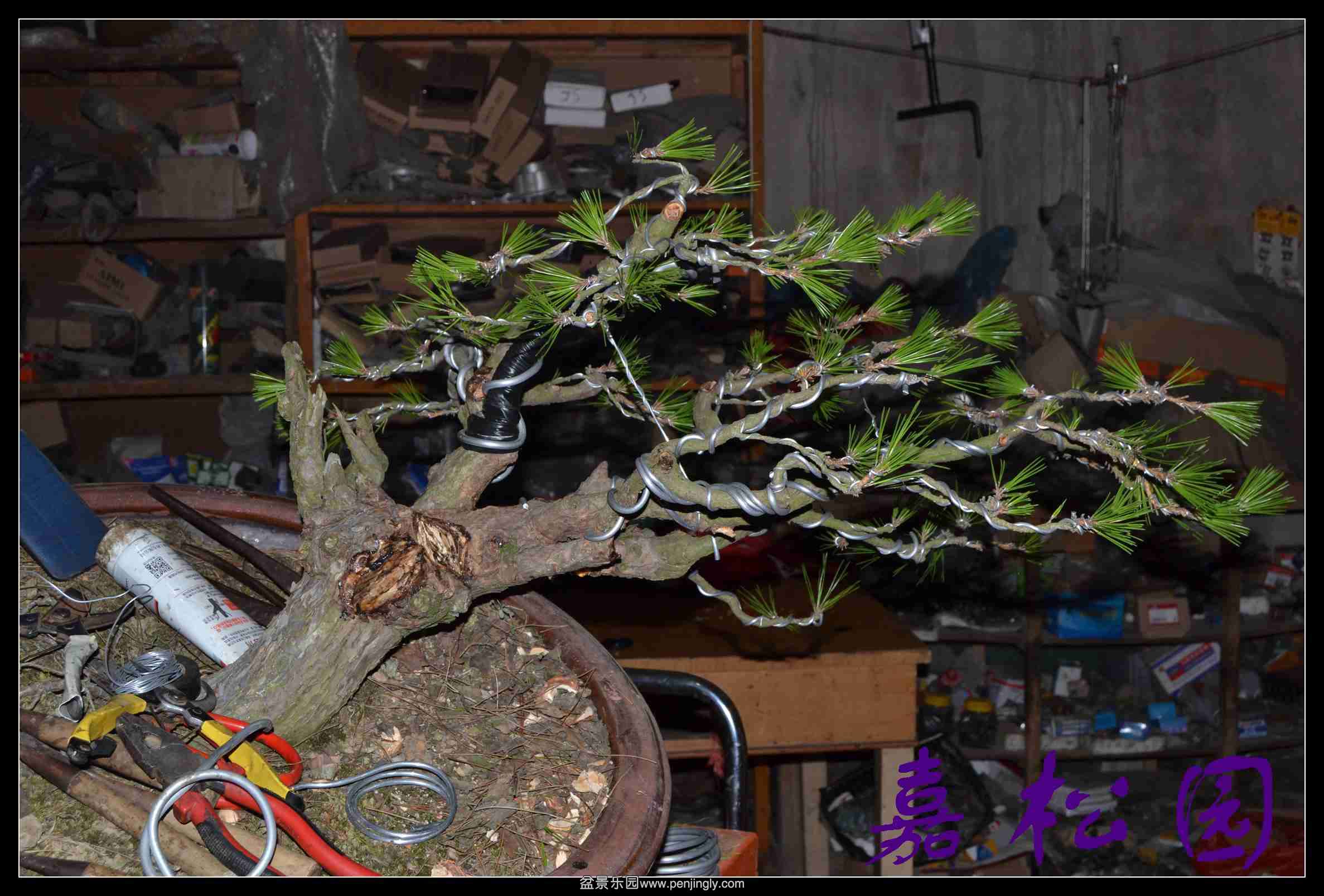 ���� 006.JPG