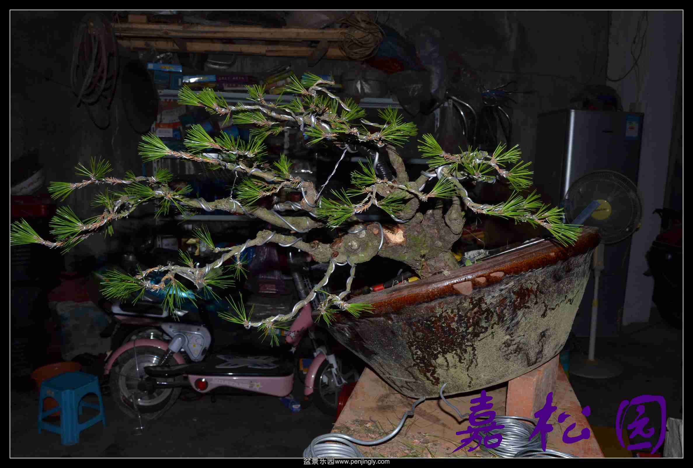 ���� 010.JPG